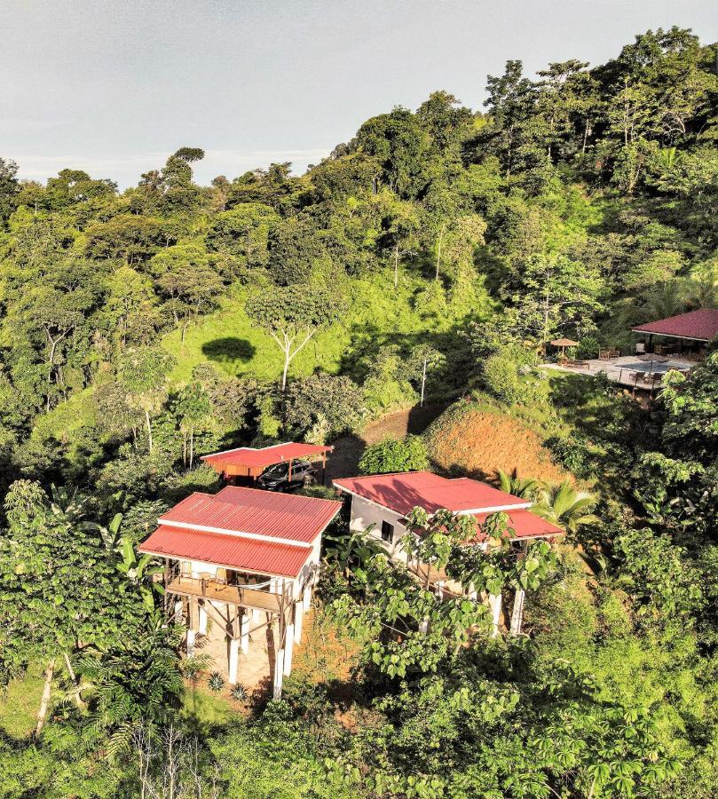 Jungle and Mountain View Villa